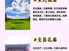 -东郊椰林