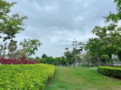 -宝安西湾红树林湿地公园