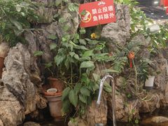 -丰圆轩粤式茶楼 . 点心粤菜(夏茅店)