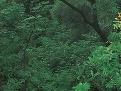 -白云山风景名胜区