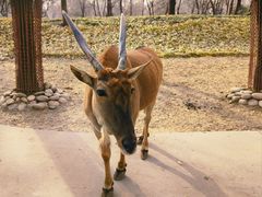 -北京野生动物园