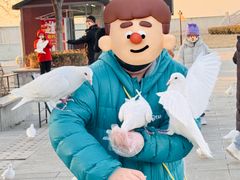 -天津妈祖文化园