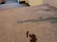 -7天连锁酒店·武汉徐东湖北大学店