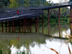 -白鹭湾湿地公园