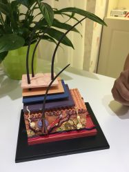 -咪咪比基尼脱毛专业店