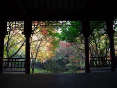 -秋霞圃