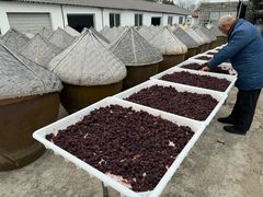 -苏州市吴中区光福窑上花果蜜饯厂