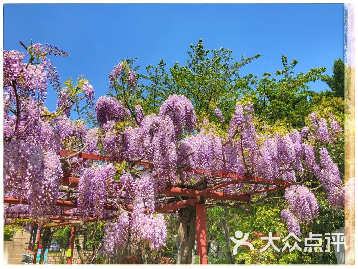 清水兰轩图片 - 第75张