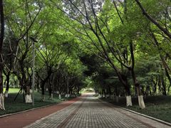 -龙头寺公园
