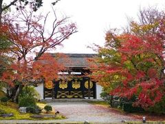 -醍醐寺