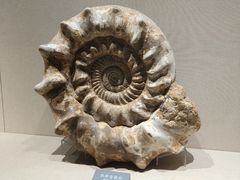 -安徽省地质博物馆