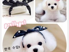 -玛喜达韩国料理·炸串·小吃(苏宁易购店)