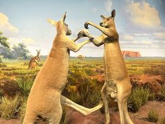 -陕西自然博物馆