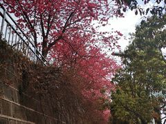 -苍山感通索道
