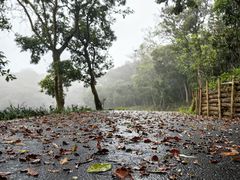 -梧桐山风景名胜区
