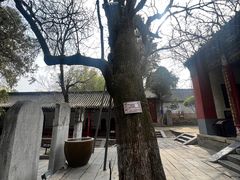-南阳卧龙岗武侯祠