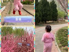 -永定河休闲森林公园