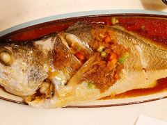 -火齐潮汕砂锅粥(五道口店)