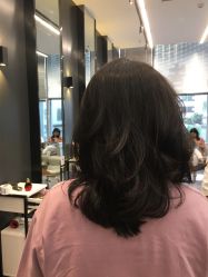 -藤野造型