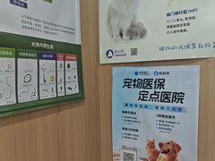 -米苏动物医院·犬猫专科·骨科外科内窥镜
