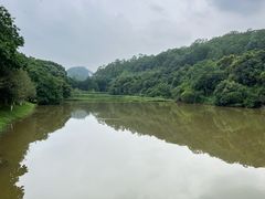 -番禺大夫山森林公园