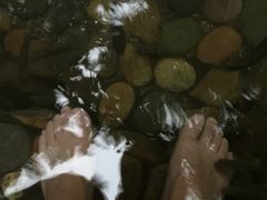 -天门沟九州驿站树上汤泉