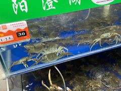 -阳澄湖大闸蟹·琼灵阁牌品牌连锁(吴中总店)