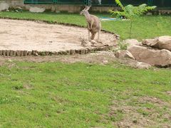 -西安秦岭野生动物园