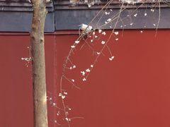 -钱王祠