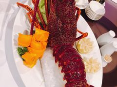 -黄金海岸