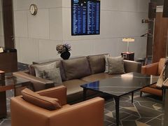 -谢列梅捷沃国际机场