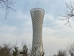 -上海滨江森林公园