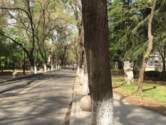 街道-山东大学(趵突泉校区)