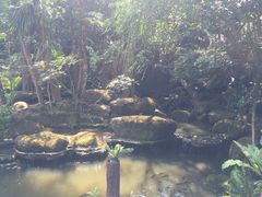 -绿光森林餐厅