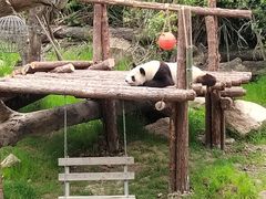 -宁波野生动物园