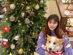 -艾蜜西餐厅(梅园店)