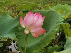 -宁波九龙湖开元度假村