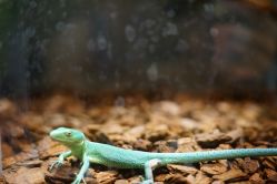 -Zoolung Zoolung动物主题公园(海信广场店)