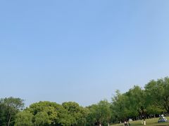 -上海方塔园
