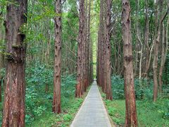 -同里国家湿地公园