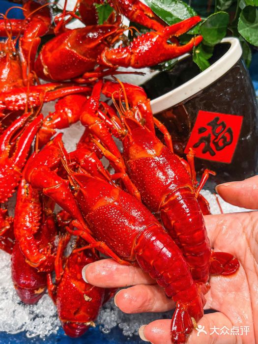 浙食逅·弄虾·融合菜·小龙虾(双城国际店)图片