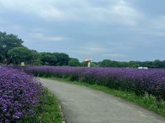 -上海杨姆庄园