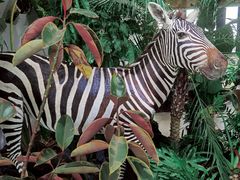 -中国天府农业博览园