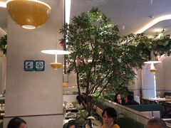 -Aqua Oasis 水天堂(太湖中心mall店)