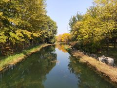 -大望京公园