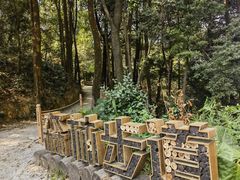 -广州市帽峰山景区
