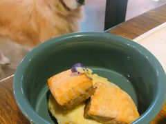 -百好乐宠物友好餐厅(朝外大街店)