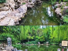 -趵突泉景区