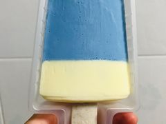 钟薛高海盐椰子味-盒马鲜生(杨高南路店)