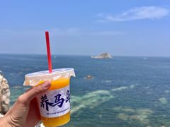 -养马岛旅游度假区